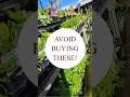 Avoid buying these at your garden centres/warehouses! 🙅❌️🥬 #avoidthese #didyouknow #gardening