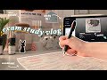 exam week study vlog 🎞: surviving off of pasta, mindmaps, sticker haul