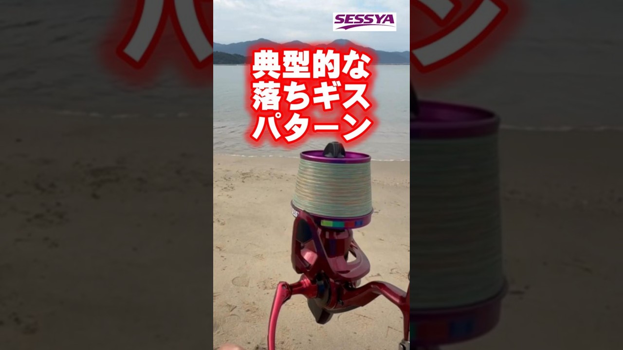 【キス釣り】こんな近くに良型キス！2色以内で激震！