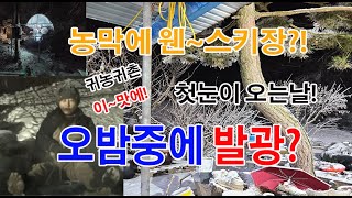 스키장이 생겼어요 첫눈이 오늘날 팔공산조경과구들장농막에서 오밤중에 스키타는 진풍경