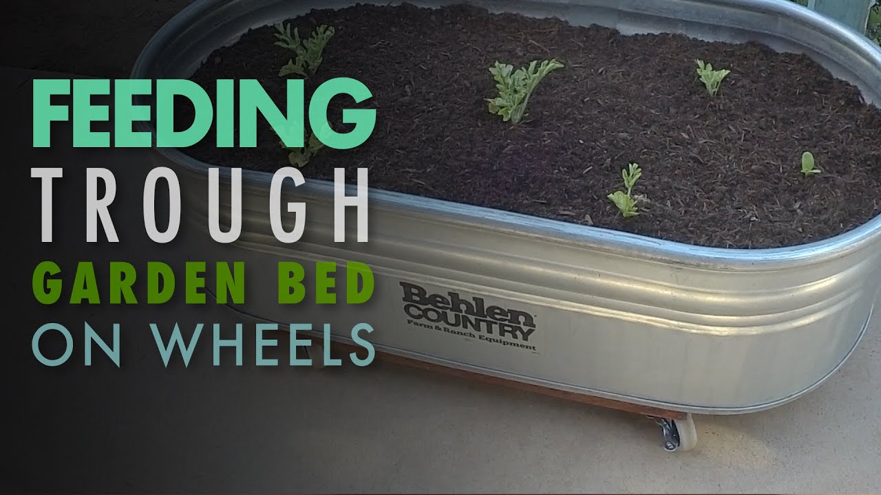 Feeding Trough Raised Garden Bed on Wheels DIY - YouTube