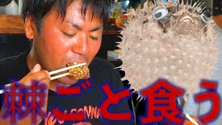 【驚愕】ハリセンボンを棘ごと唐揚げにして食べてみた