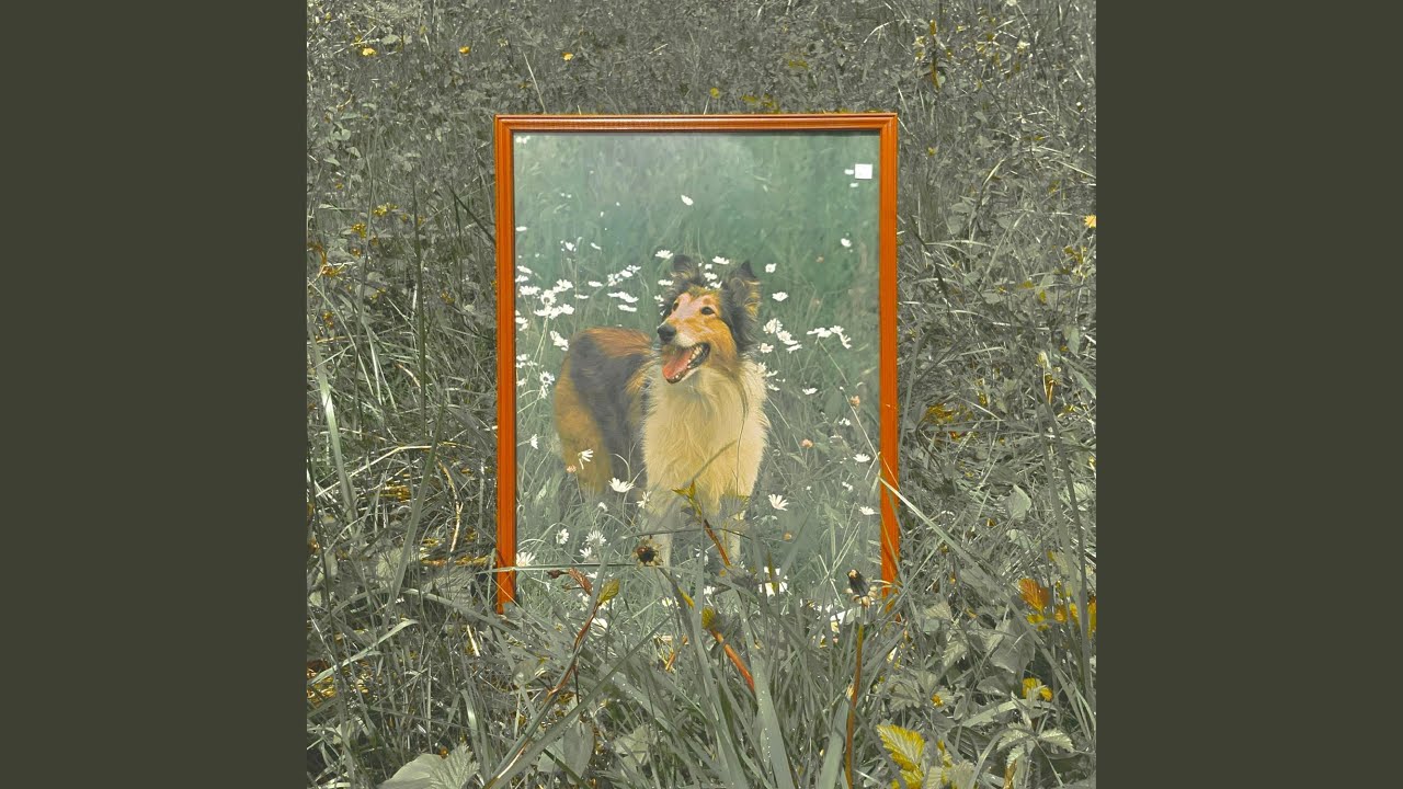 Guarda 3 su YouTube Guarda 3 su YouTube