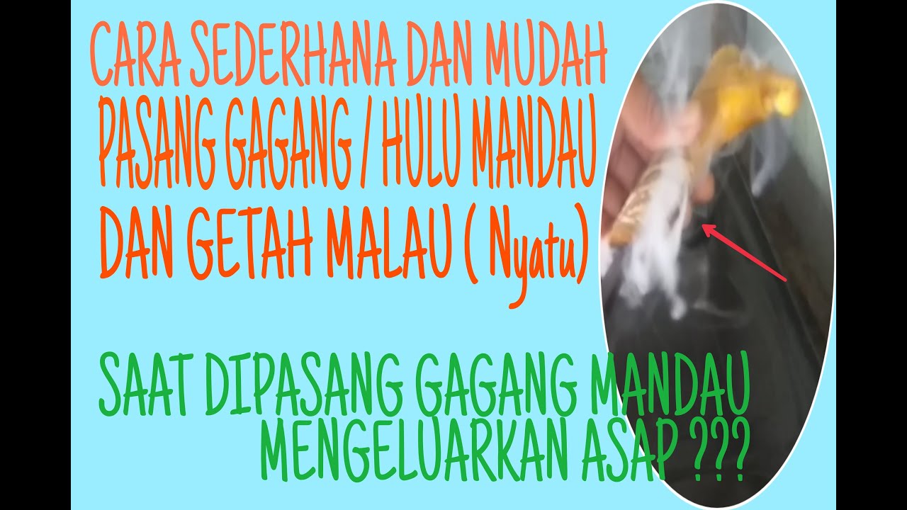 CARA PASANG GAGANG MANDAU DAN GETAH MALAU