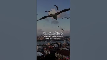 ✨ تلاوة هادئة تريح الاعصاب 💌💌 قران كريك بصوت جميل تلاوة عطرة 🥰🥰🥰 #للقارئ