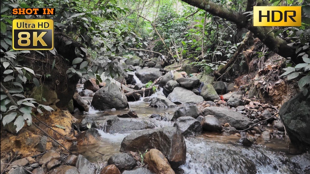 Exploring the Pristine Mountain Rivers of Indonesia in 8K HDR