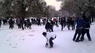 Mass Southampton snowball fight