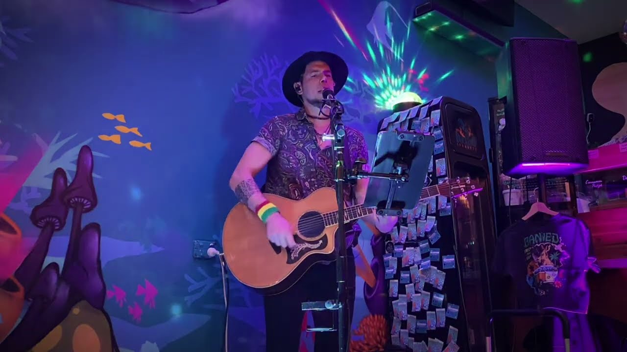 Original Reggae/Funky Night at Bucking Seahorse - Mooloolaba, Sunshine Coast