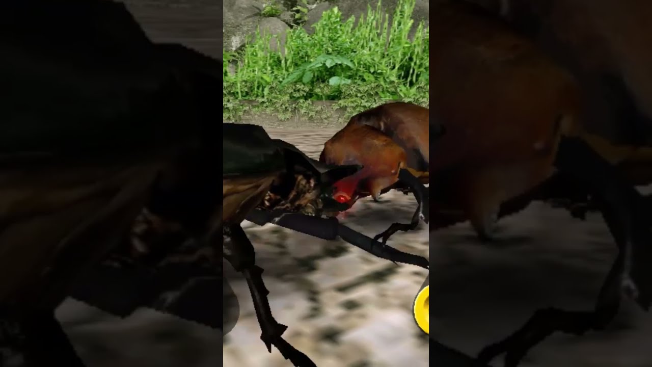 甲虫王者ムシキング つよさ200 最強のカブト と クワガタ - YouTube