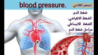 ضغط الدم  الضغط الانبساطي والانقباضي  ومراحل ضغط الدم