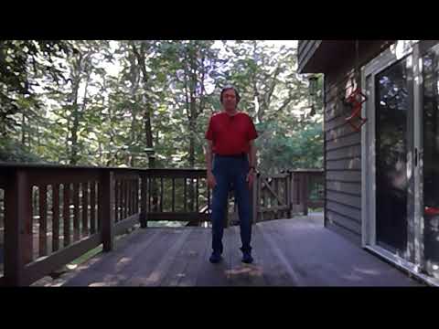 Basic Principles Of Qigong with Stan - 20 Minutes