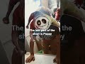 Poppy play time co