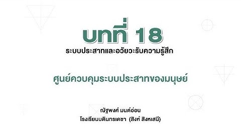 Axon ท ม เส นผ าศ นย กลางขนาดใหญ