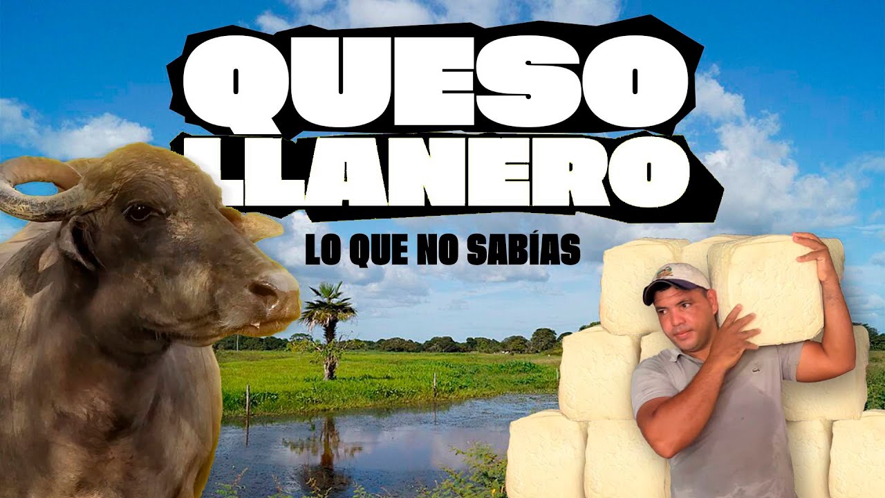 QUESO LLANERO Lo que no sabías