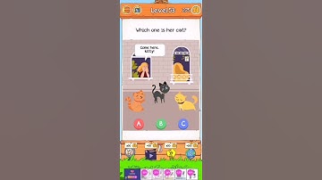 Braindom 2 Level 53 walk through solution