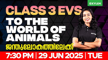 Class 3 EVS | ജന്തുലോകത്തിലേക്ക് / TO THE WORLD OF ANIMALS | Xylem Class 3