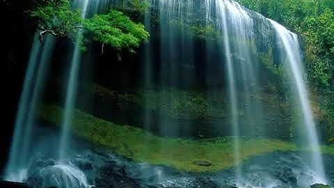 سبحان من رزقه هذا الصوت تلاوة تفوق الخيال