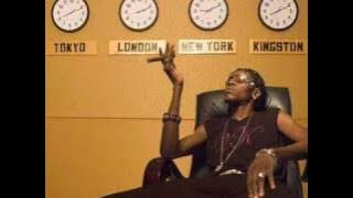 Vybz Kartel - Transelator