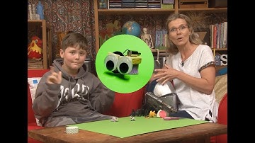 Suzy & Friends - Oscar