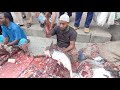 live pangash fish cutting