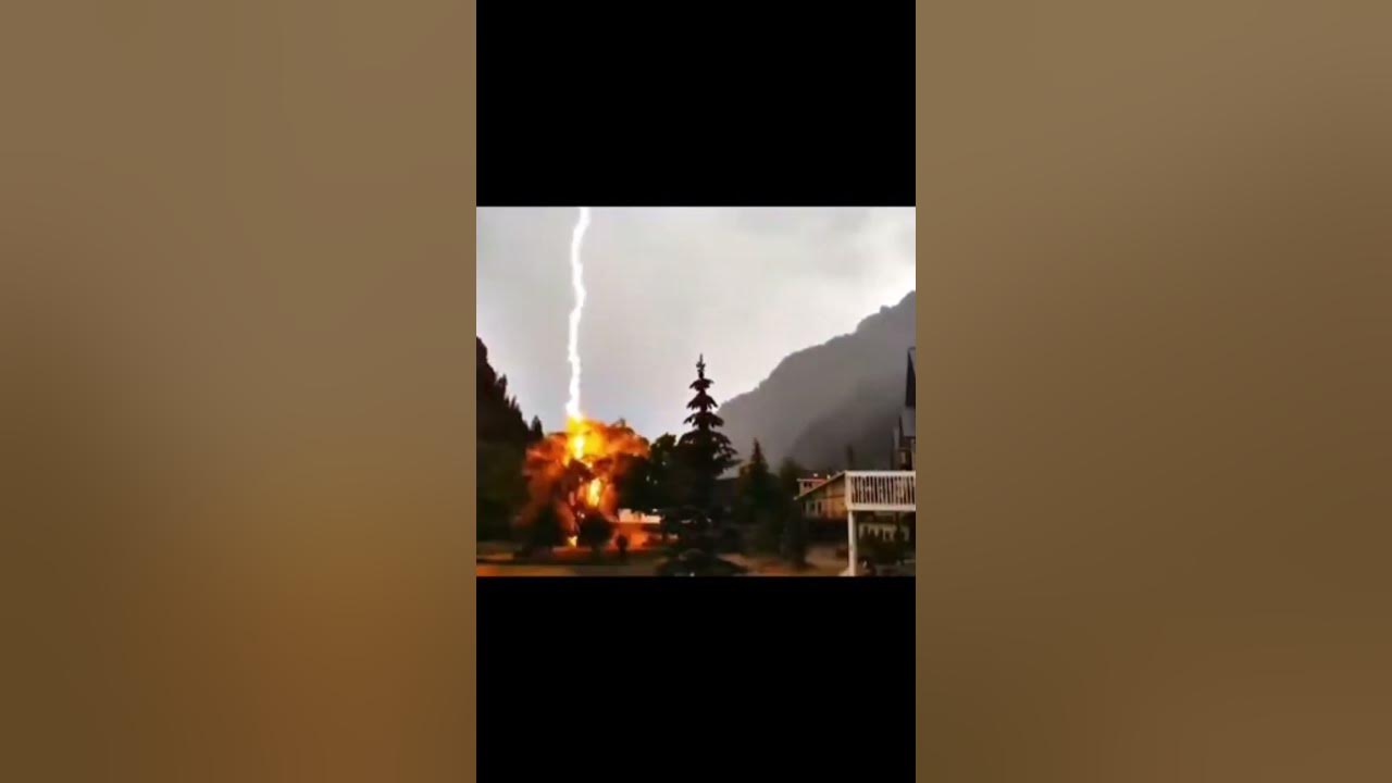 lightning strikes trees 2