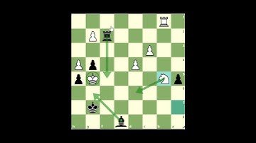 𝓢𝓾𝓹𝓮𝓻 𝓒𝓸𝓸𝓵 𝓡𝓸𝓸𝓴 𝓣𝓻𝓪𝓹 𝓲𝓷 𝓒𝓱𝓮𝓼𝓼 – 𝓑𝓻𝓲𝓵𝓵𝓲𝓪𝓷𝓽 𝓣𝓪𝓬𝓽𝓲𝓬 #chessshorts