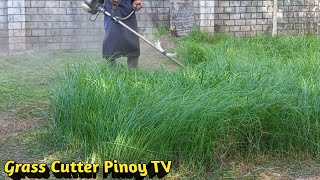 I CUT THIS AGAIN AFTER ALMOST 1 YEAR by Grass Cutter Pinoy TV 2,458 views 4 months ago 21 minutes