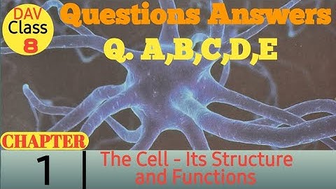 Chapter 1 | The Cell- Its Structure and Functions | Class 8 DAV Science | Questions Answer |