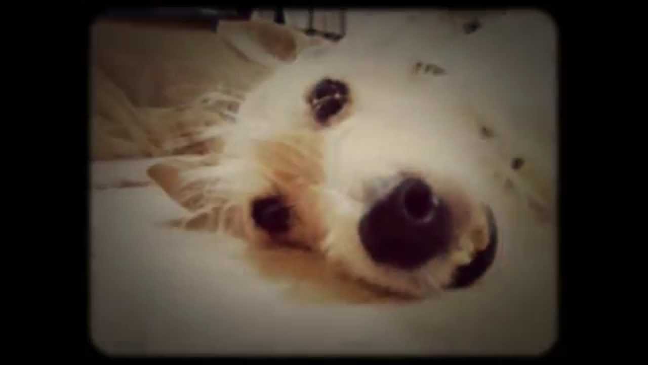 Mix - YouTube