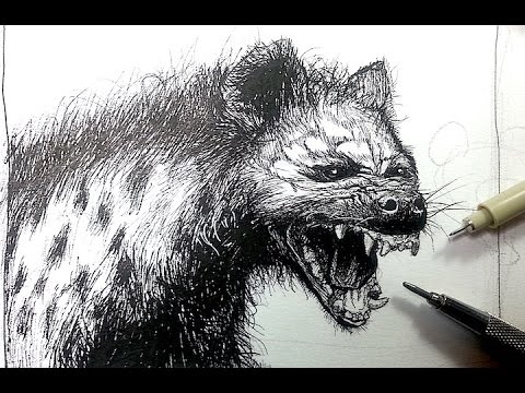 Pen & Ink Drawing Tutorials | Draw a Hyena - YouTube