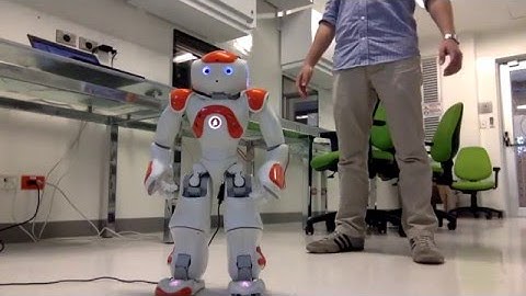 Nao Robot controlled by Kinect