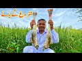 Shutar murgh paye recipe  cooking huge long ostrich legs  mubashir saddique  village food secrets