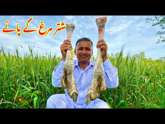 Shutar Murgh Paye Recipe | Cooking Huge Long OSTRICH LEGS | Mubashir Saddique | Village Food Secrets class=