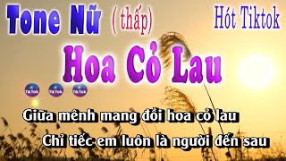 Hoa Cỏ Lau karaoke Tone Nữ Thấp Phong Max Hot tiktok