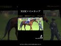 競馬(G1)・NHKマイルカップ(去年を振り返って)