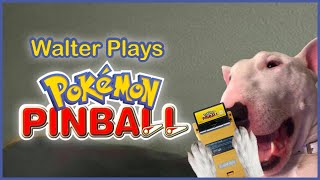 Walter Plays Pokemon Pinball