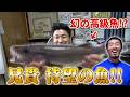 【兄貴が食べたかった魚?】ジョニーさんの弟子が釣った幻の魚を堪能!