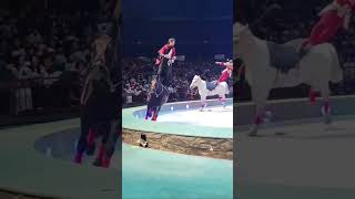 Amazing Circus Stunt with Horses | Jaw-Dropping Equestrian Performance #circus #stunt #horse