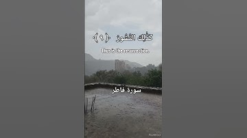 الشيخ يوسف العيدروس - تلاوة خاشعة من سورة فاطر #قرآن #yusuf_alaidros