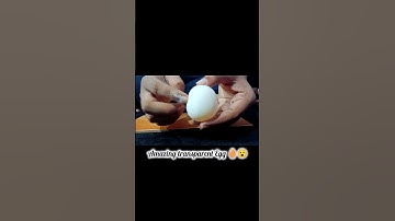 Amazing Bouncing Egg 🥚 Experiment 😮||#shorts #video #viral #viralvideo #ytshorts