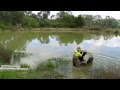 Murray cod production at snobs creek