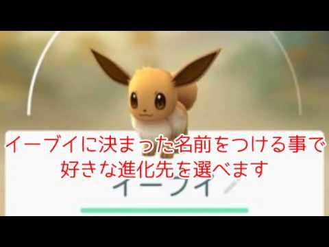 ★ポケモンＧＯ最新情報・攻略法★　イーブイの進化先を指定する裏ワザ