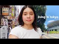 Life in Tokyo, Japan VLOG | Harry Potter Studio Tour, New Cafes