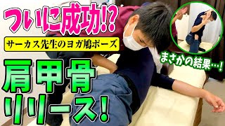 【肩甲骨はがし 整体】サーカス先生に肩甲骨はがしの整体！そしてついにヨガ鳩ポーズ達成！？いよいよラストスパートへ！