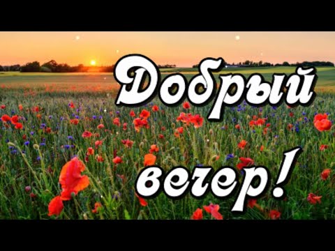 Добрый вечер! Пусть у вас в доме живут мир и счастье!