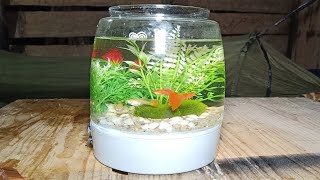 How to make an aquarium with a kettle