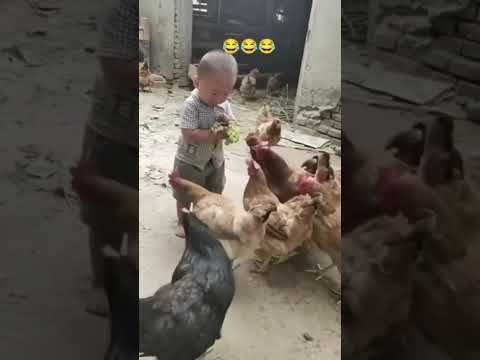 مروه نبيل تعالوا شوفوا طفل يبكى من الدچاج