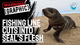 [Graphic] Fishing line cuts deep into seal's flesh