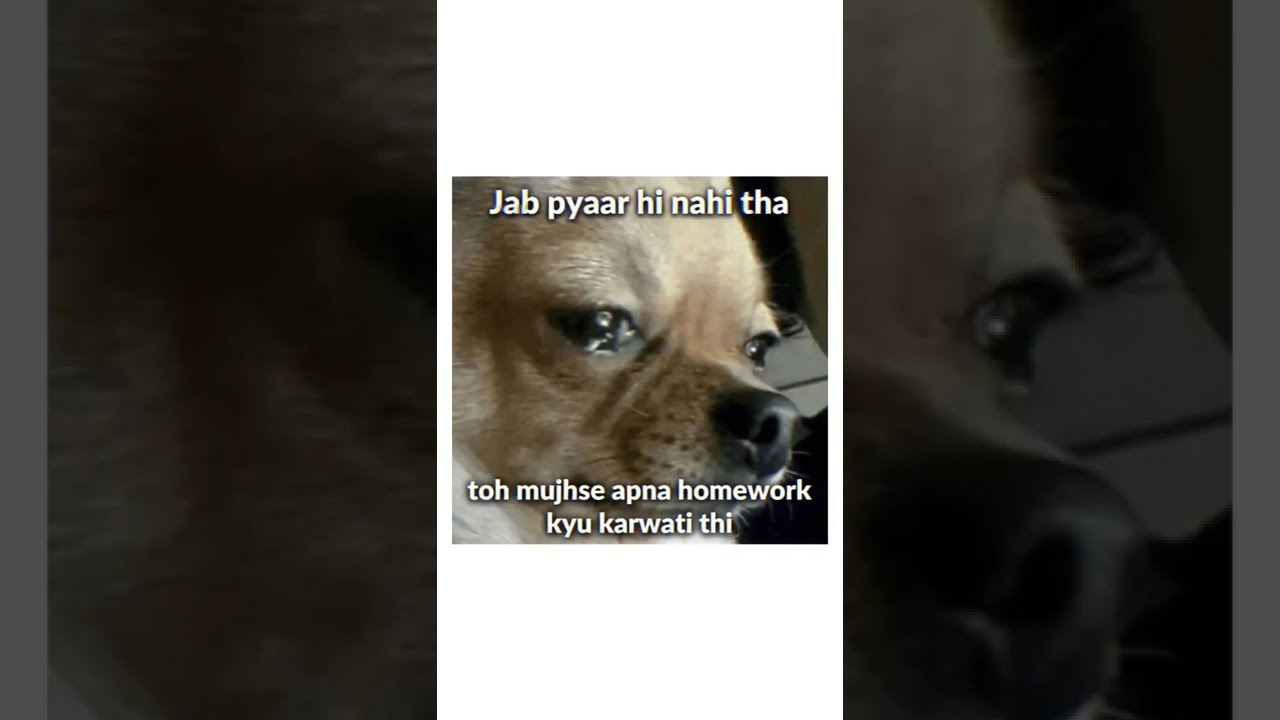 Tag Someone Funny Emotional Viral Trending Meme Short Nation