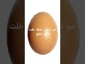سمرا سمرا شوعبالا احبكم حطو لايك و الاشتراك سمرا سمرا شوعبالا احبكم حطو لايك و الاشتراك
